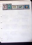 1884-1960, Mint & used collection on stockpages showing