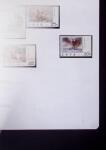 1884-1960, Mint & used collection on stockpages showing