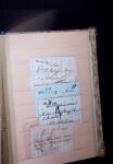 1646-1850 Ensemble classé en une boite , 1 gros classeur,