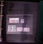 1903-2004 Petit stock de variétés dont surencrage