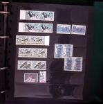 1903-2004 Petit stock de variétés dont surencrage