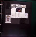 1903-2004 Petit stock de variétés dont surencrage