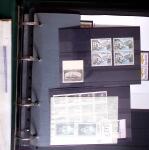 1903-2004 Petit stock de variétés dont surencrage
