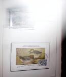1948-1977 Jolie petite collection avec des timbres