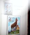 1948-1977 Jolie petite collection avec des timbres