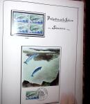 1948-1977 Jolie petite collection avec des timbres