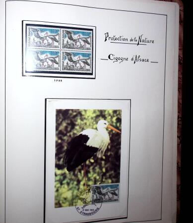 1948-1977 Jolie petite collection avec des timbres