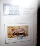 1948-1977 Jolie petite collection avec des timbres