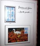 1948-1977 Jolie petite collection avec des timbres