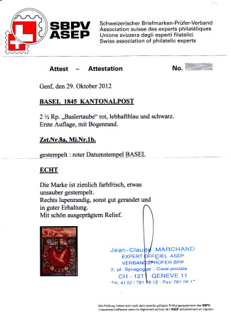 Basler Taube in der lebhaftblauen Nuance, farbintensive