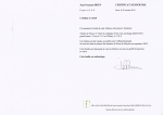 N° 31 surcharge I, **, TTB