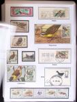 1852-1990, BIRDS Thematics exhibition collection neatly