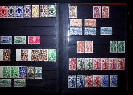 Collection de neuf sans charnière entre le n° 8 et