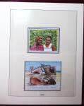 Collection de MAYOTTE neufs sans charnière, apparemment