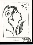 Marianne de Lamouche, Dossier de croquis d'approches