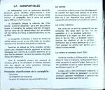 Collection d'exposition sur la Scripophilie (actions