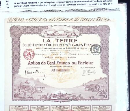 Collection d'exposition sur la Scripophilie (actions
