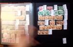 1878-2000 Most attractive mint & used assembly incl.