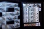 1878-2000 Most attractive mint & used assembly incl.