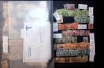 1878-2000 Most attractive mint & used assembly incl.