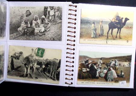 CPA 500 à 650 cartes postales anciennes d'Algérie,