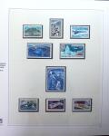 1948-1999 Collection neuve des TAAF quasi complète dont 20f Albatros, +SPM 1986-2001 avec nombreux doubles +CFA, TB