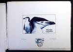 1950-1980, Stock de timbres de TAAF, parfois en feuille,