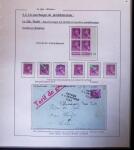 1938-44 TYPE MERCURE : Importante collection d'exposition