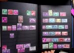 1851-2008 Mint & used collection in 4 stockbooks incl.