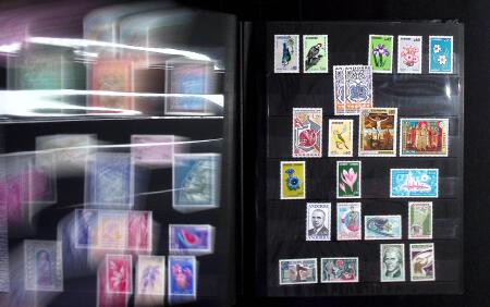 1912-2019 Collection de timbres neufs de SPM, surtout
