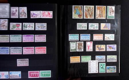 1912-2019 Collection de timbres neufs de SPM, surtout