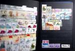 1849-2014 Mint & used stamp collection of Western Europe