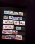 1981-2007 Collection de timbres neufs de France +doubles