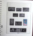 1971-2020 Belle collection de timbres neufs ** de TAAF