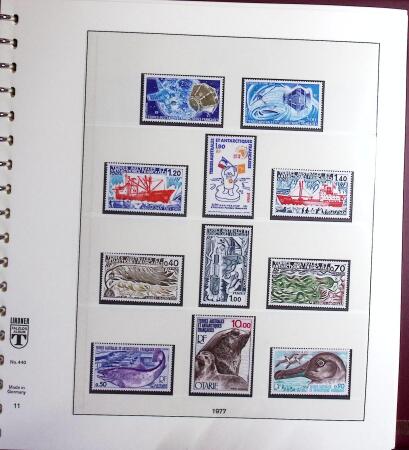 1971-2020 Belle collection de timbres neufs ** de TAAF