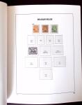 1849-2011, Extensive collection of Belgium in 12 DAVO