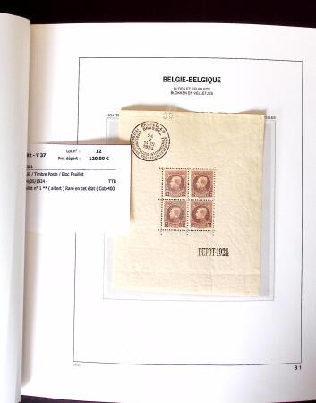 1849-2011, Extensive collection of Belgium in 12 DAVO
