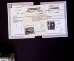 1865-2020, Never collection of Spain in three stockbooks