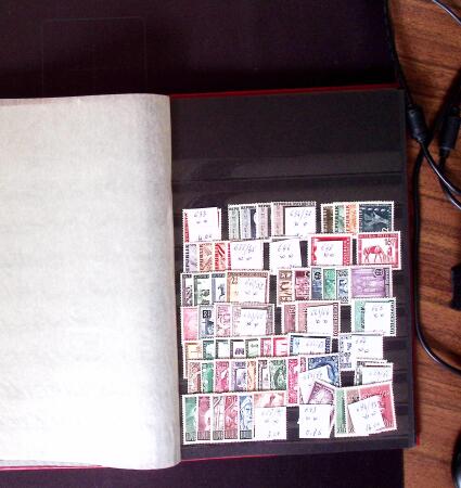 1899-2020, Never hinged collection and duplicates in