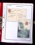1900-1930 Collection sur le type blanc décrivant au