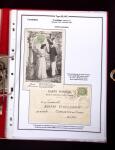 1900-1930 Collection sur le type blanc décrivant au