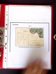 1900-1930 Collection sur le type blanc décrivant au