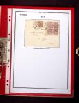 1900-1930 Collection sur le type blanc décrivant au