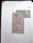 1906-1937 Collection de semeuses fond plein du célèbre