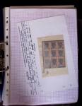 1900-1920 Attractive study on GERMANIA incl. Booklet