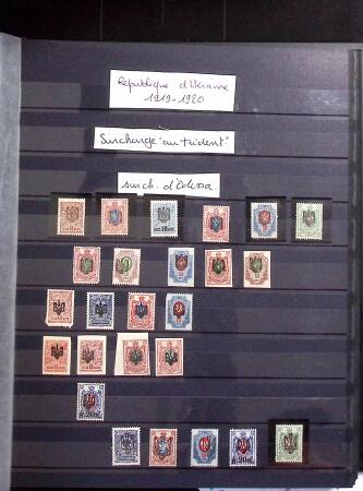 1858-2004 Mint & used collection in 4 stockbooks incl.