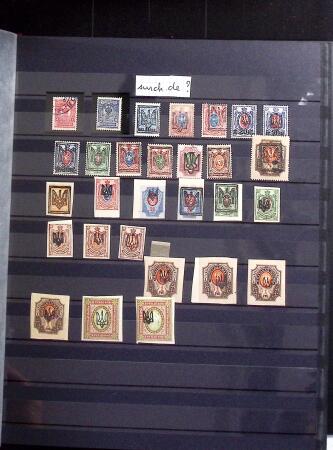 1858-2004 Mint & used collection in 4 stockbooks incl.