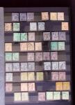 ALGERIE - MAROC - TUNISIE Collections de neufs et d'oblitérés,