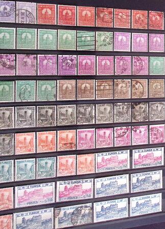 ALGERIE - MAROC - TUNISIE Collections de neufs et d'oblitérés,