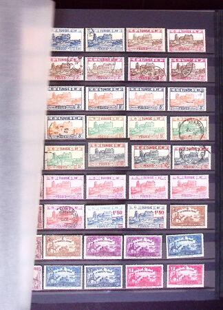 ALGERIE - MAROC - TUNISIE Collections de neufs et d'oblitérés,